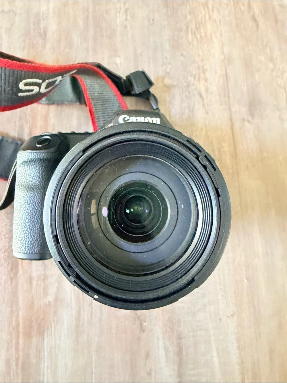Canon EOS 40D DSLR with Tamron AF 18-200